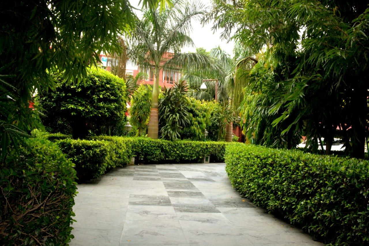 Hedge-lined marble pathway through the ashram garden